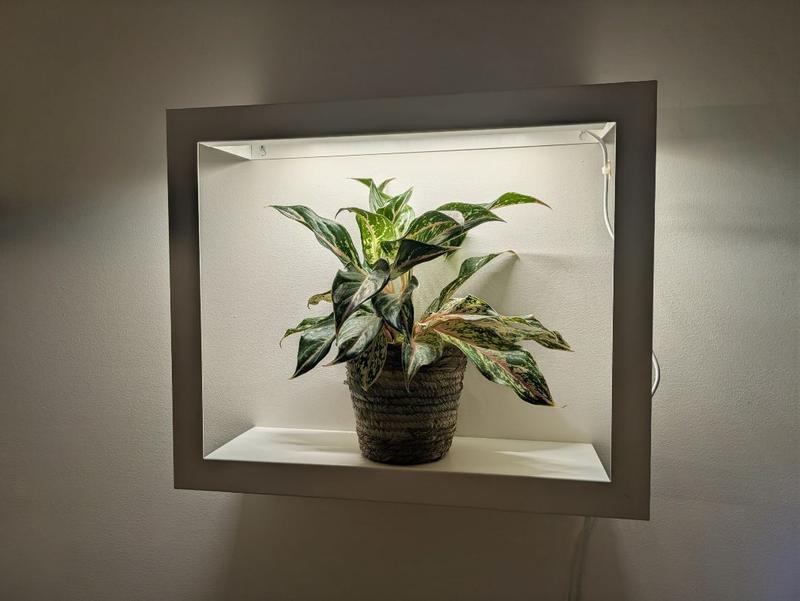 Review Thumbnail Image 0 359889705