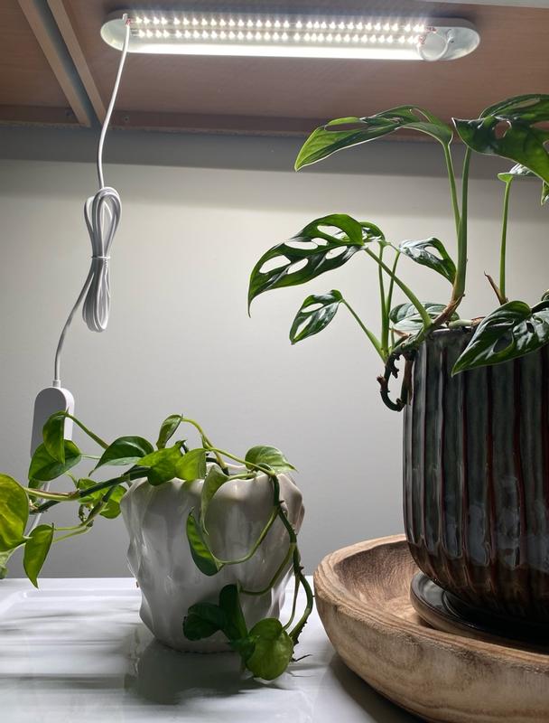 Customer photo for "Simple and efficient grow light"