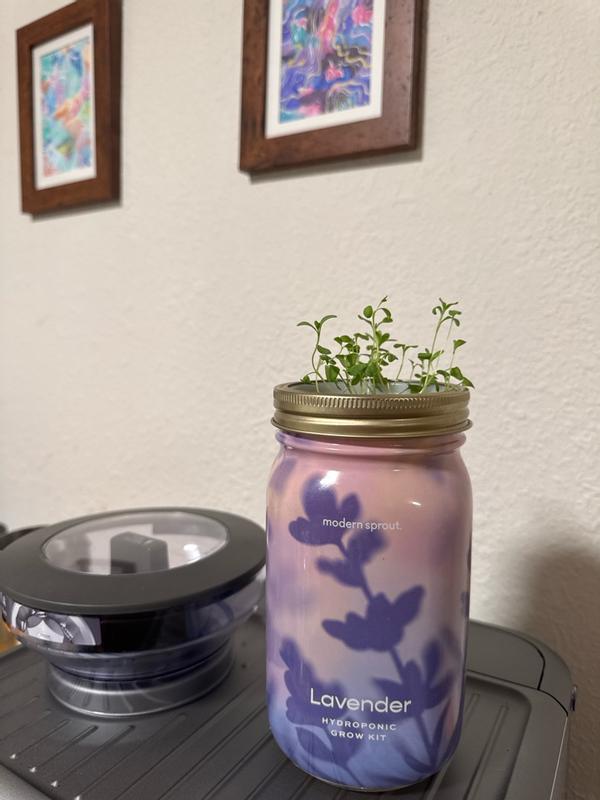 Customer photo for "Easy peasy growing experience!"