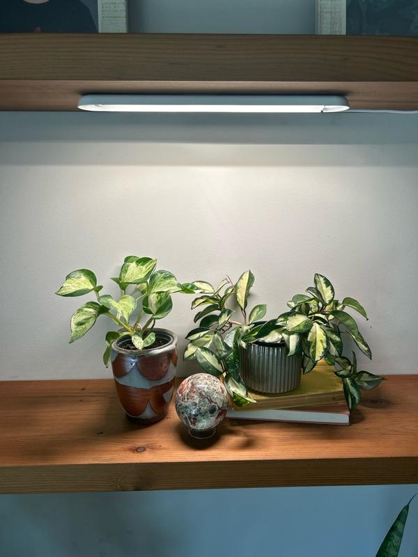 Customer photo for "A nice beginner grow bar"