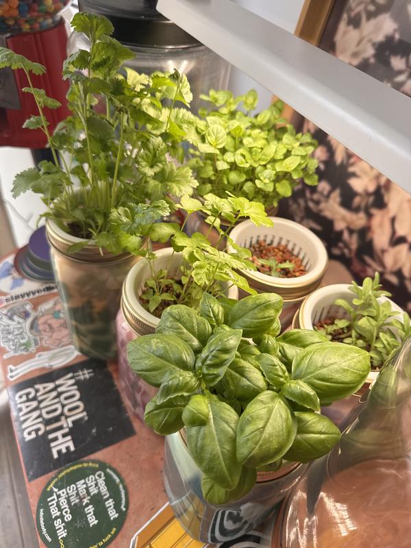 Customer photo for "In love with my mini hydro garden!"
