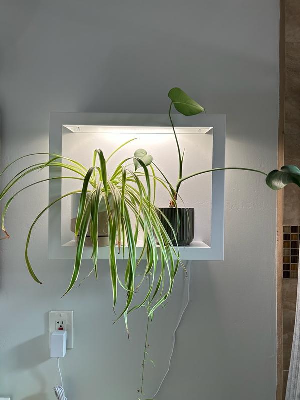 Review Thumbnail Image 0 352789825