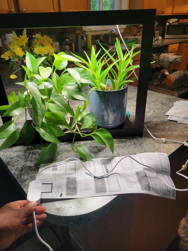 Review Thumbnail Image 1 352312151