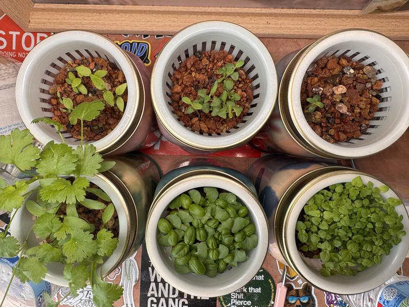 Customer photo for "In love with my mini hydro garden!"