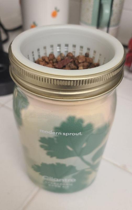 Customer photo for "Easy to get started"