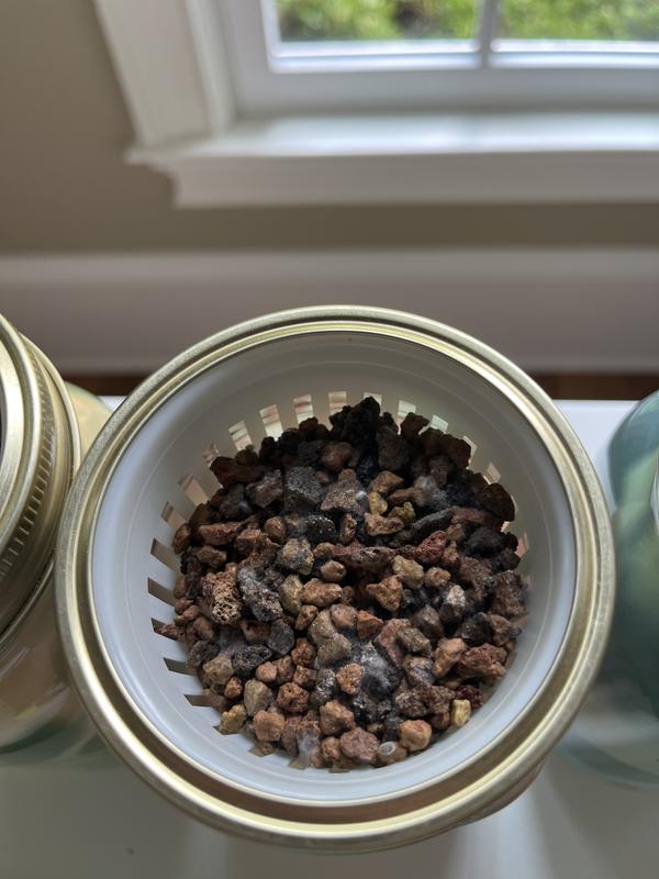 Customer photo for "Only mold grows. Don’t waste money."