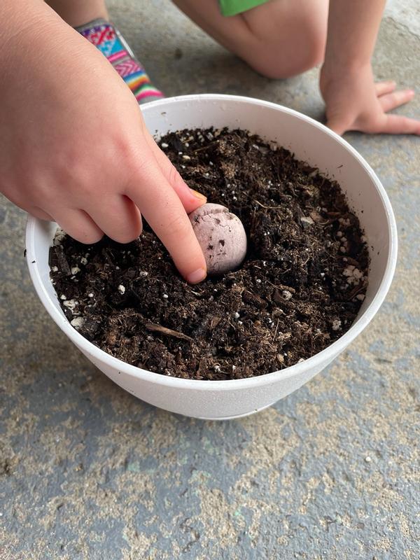 Customer photo for "Easy, fun & effective! 🌸"