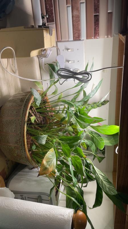 Customer photo for "A must for plant lovers!"