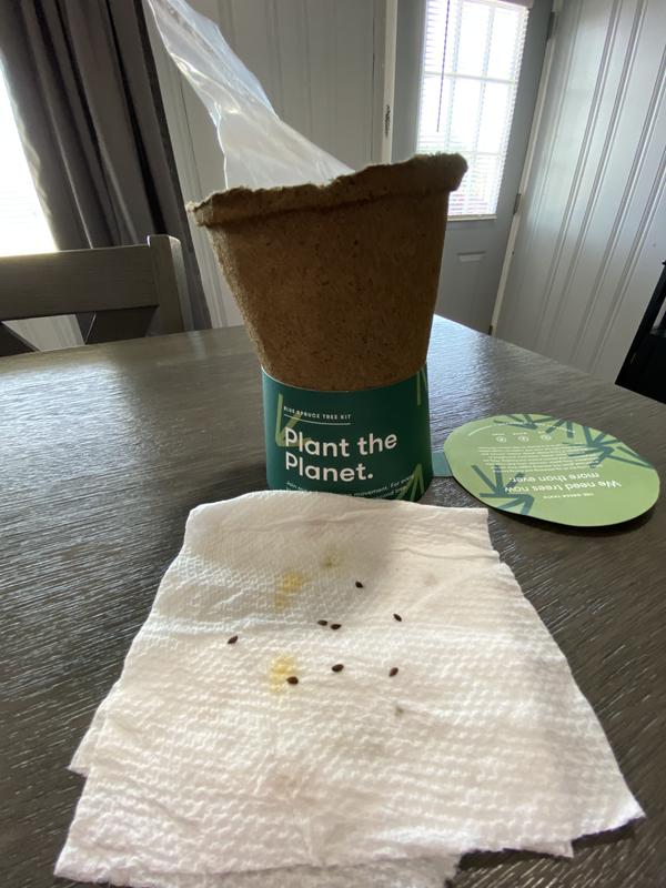 One-For-One Tree Kits | Eco-Friendly Seed Kits | Modern Sprout