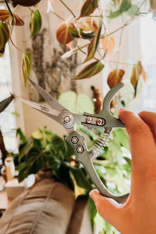 Modern Sprout Pruning Shears