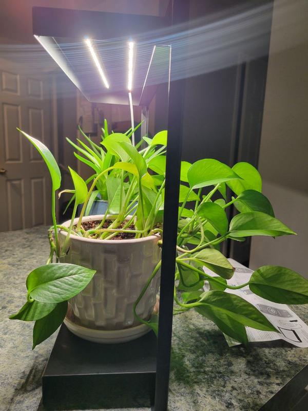 Review Thumbnail Image 0 352312151