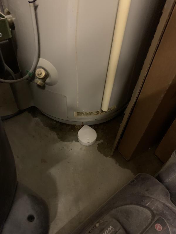 Water Heater leak detected by Moen Smart Water Detector