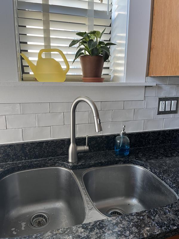 Moen kitchen faucet