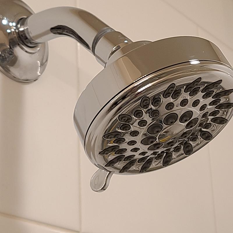 Moen_20090_Shower Head Pic002