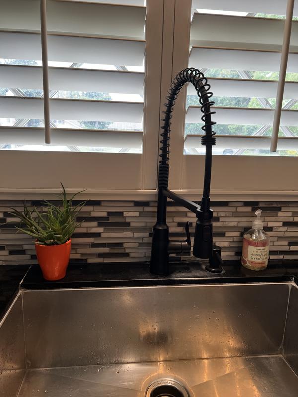 Edwyn One-Handle Pre-Rinse Spring Pulldown Kitchen Faucet – Moen