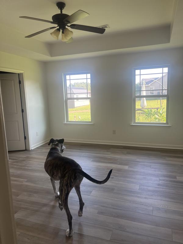 Explorer's Cove, Cafe Doppio, Resilient / Vinyl | Mohawk Flooring