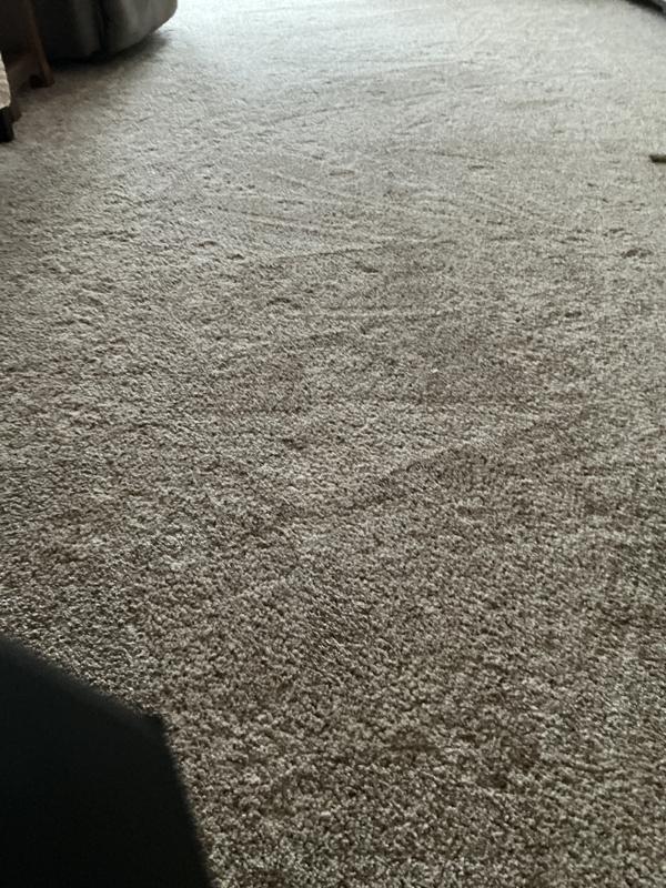SmartStrand Carpet in Rococo Beige - Mohawk Flooring
