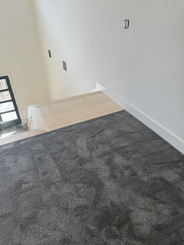 イラン、シルク銀柑シルクラグ/サイズ：60x90cm…..mp2。 SmartStrand Silk Carpet in Boardwalk - Mohawk Flooring