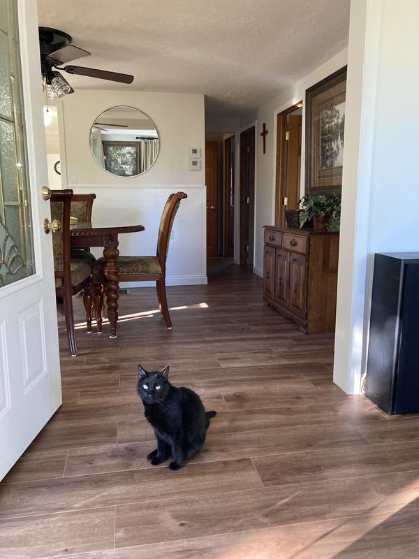 SolidTech Plus Resilient / Vinyl in Yakima - Mohawk Flooring