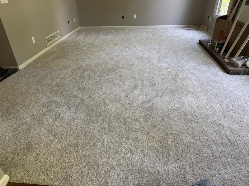 PetPremier Carpet in Soft Echo - Mohawk Flooring