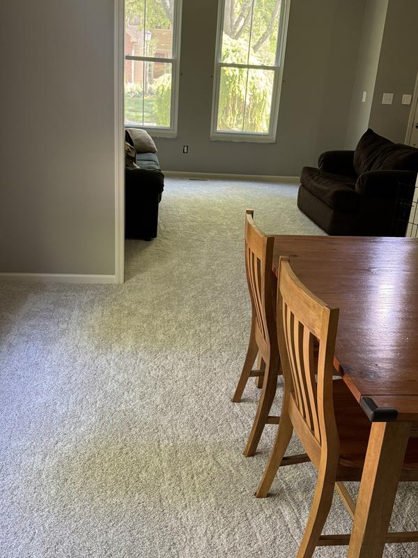PetPremier Carpet in Soft Echo - Mohawk Flooring