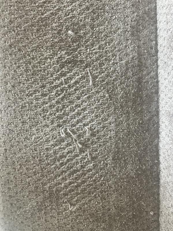 EverStrand Carpet in Heavenly Light - Mohawk Flooring