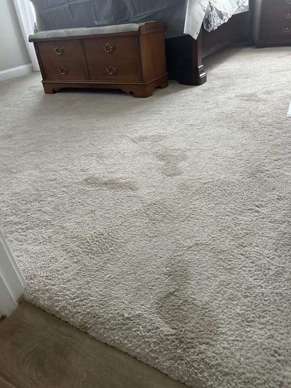 SmartStrand Silk Carpet in Boardwalk - Mohawk Flooring