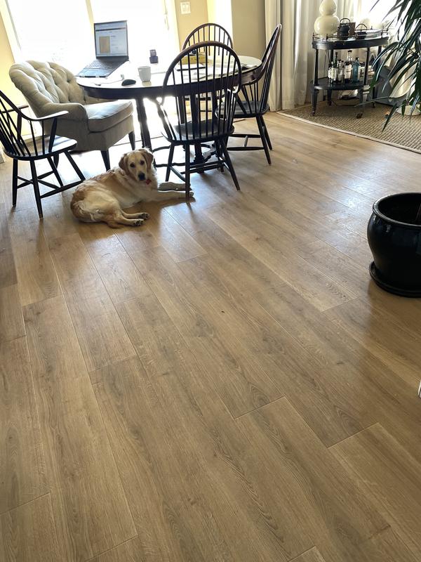 Cypresta, White Satin Oak, Laminated Wood | Mohawk Flooring