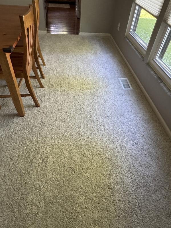 PetPremier Carpet in Winter - Mohawk Flooring