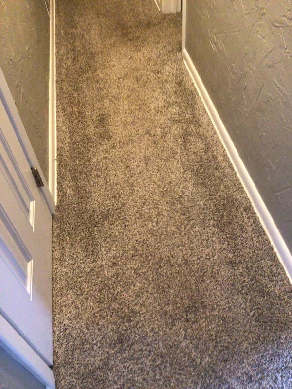 Luxuriant Feel, Highgate, Carpet | Mohawk Flooring