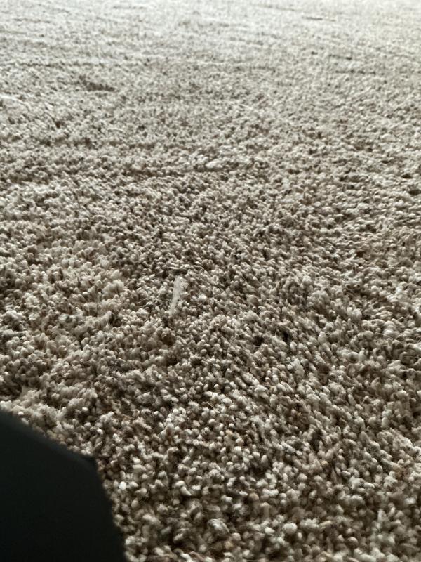 Grandeur Living, Whisper, Carpet | Mohawk Flooring