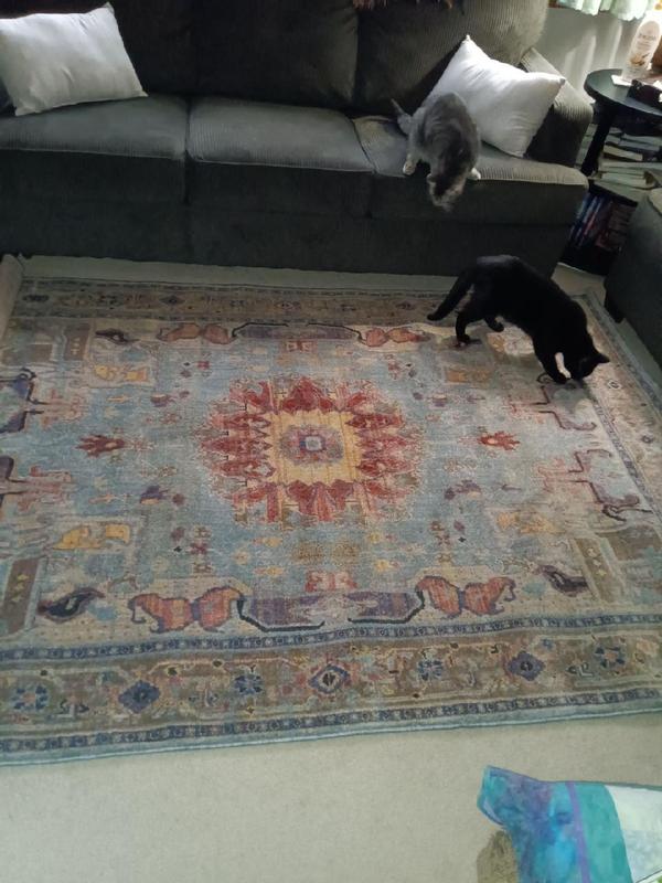 Photo from Simoriah