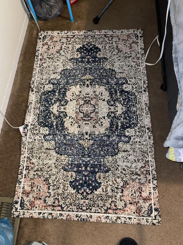 allen + roth Tapestry 2 x 4 Indoor Area Rug in the Rugs department at ...