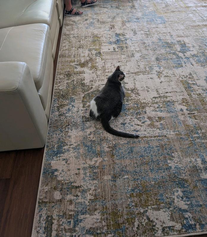 Even the cat loves it