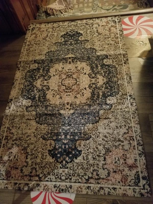 allen + roth Tapestry 2 x 4 Indoor Area Rug in the Rugs department at ...