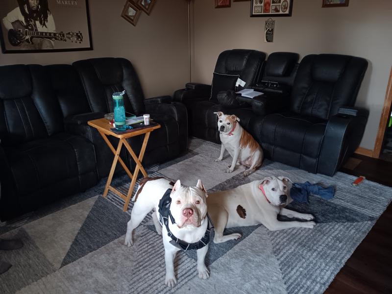 They love it🥰