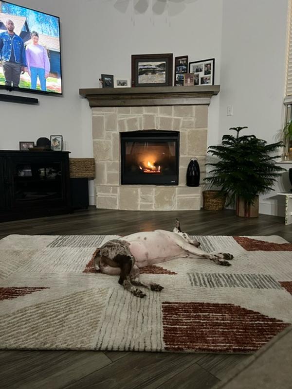 new rug