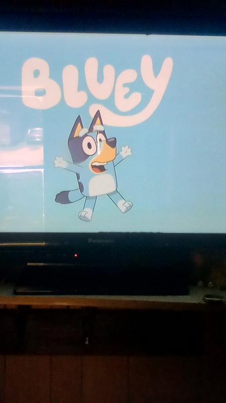 I love bluey