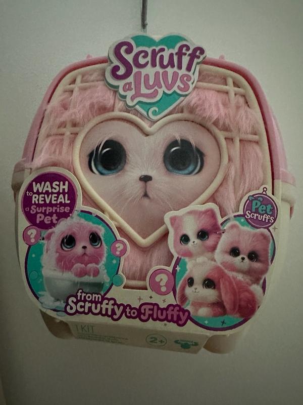 Photo - commentaire&nbsp;5.