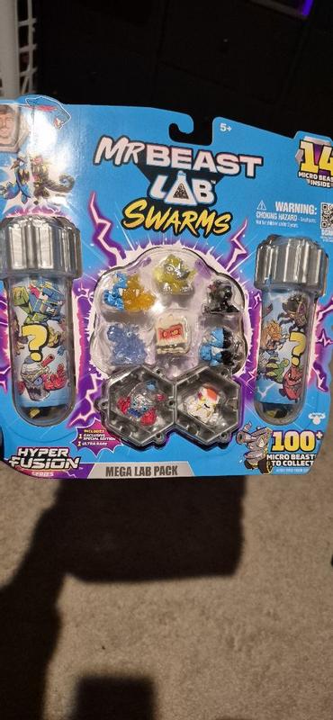 Photo - commentaire&nbsp;5.