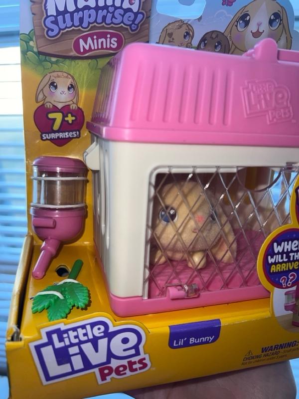  Little Live Pets - Mama Surprise Minis. Feed and Nurture a Lil'  Bunny Inside Their Hutch so she can be a Mama. She has 2, 3, or 4 Babies  with Accessories