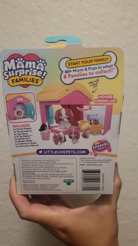 Photo - commentaire 8.