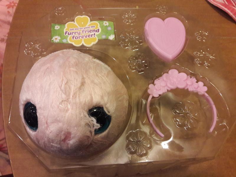 Photo - commentaire&nbsp;2.