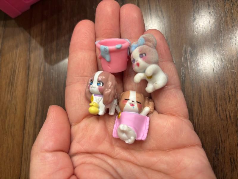 Photo - commentaire 5.