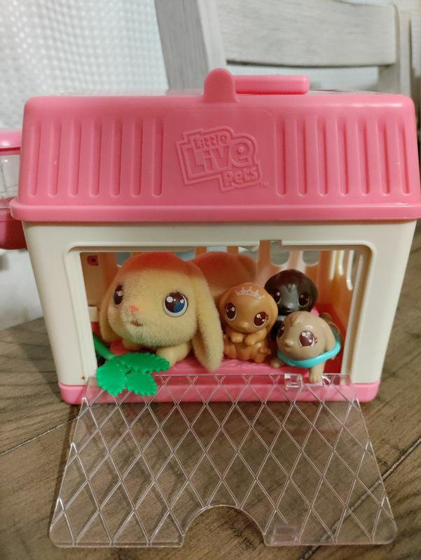 Little Live Pets Mama Surprise Guinea Pigs Rainbow Limited Edition 