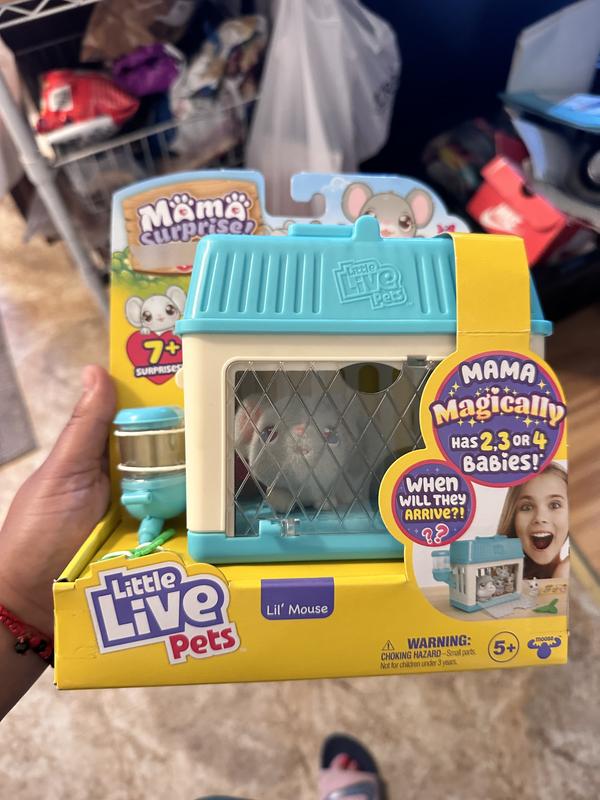 New Little Live Pets Mama Surprise Minis - Lil' Mouse Toy Unboxing, BEST LITTLE  PET