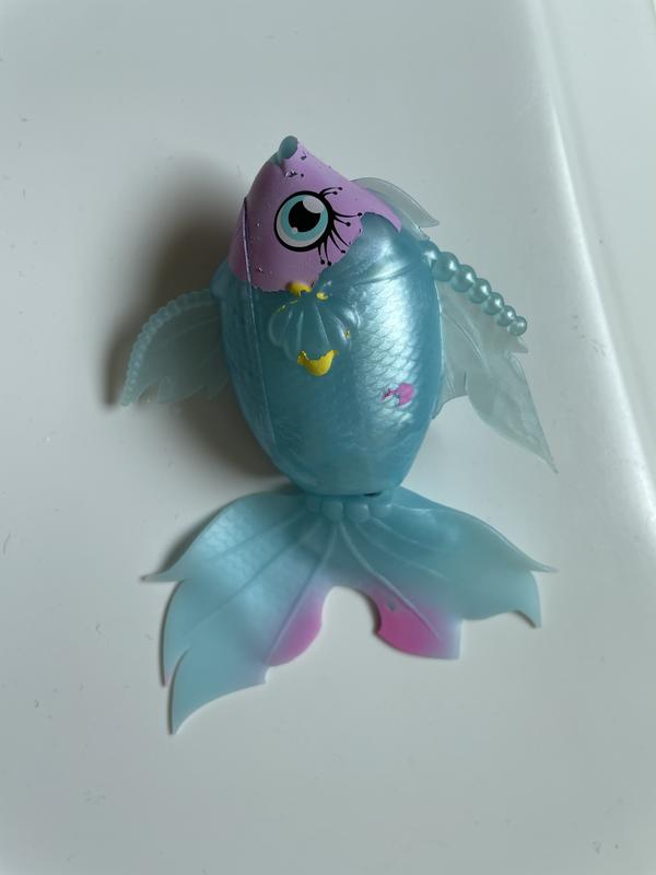 Photo - commentaire&nbsp;1.