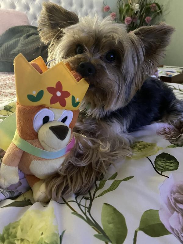 Don't try to even take it out of his mouth!