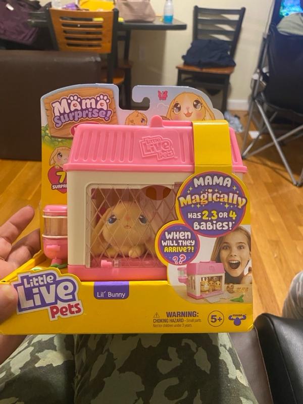 Little Live Pets Mama Surprise Minis - Lil' Bunny Toy Unboxing