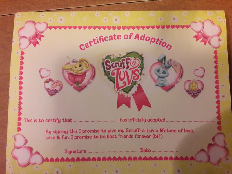 Photo - commentaire&nbsp;3.